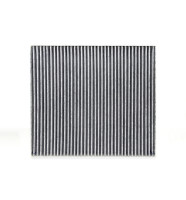 как выглядит navigrand фильтр салонный s26010c на фото